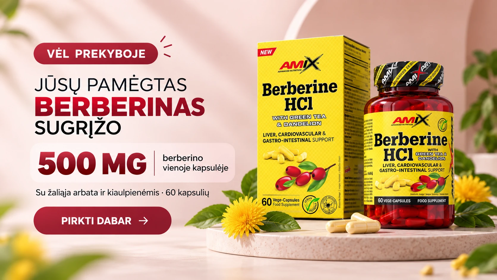 AmixPro Berberine HCl su žaliąja arbata ir kiaulpienėmis – 500 mg berberino